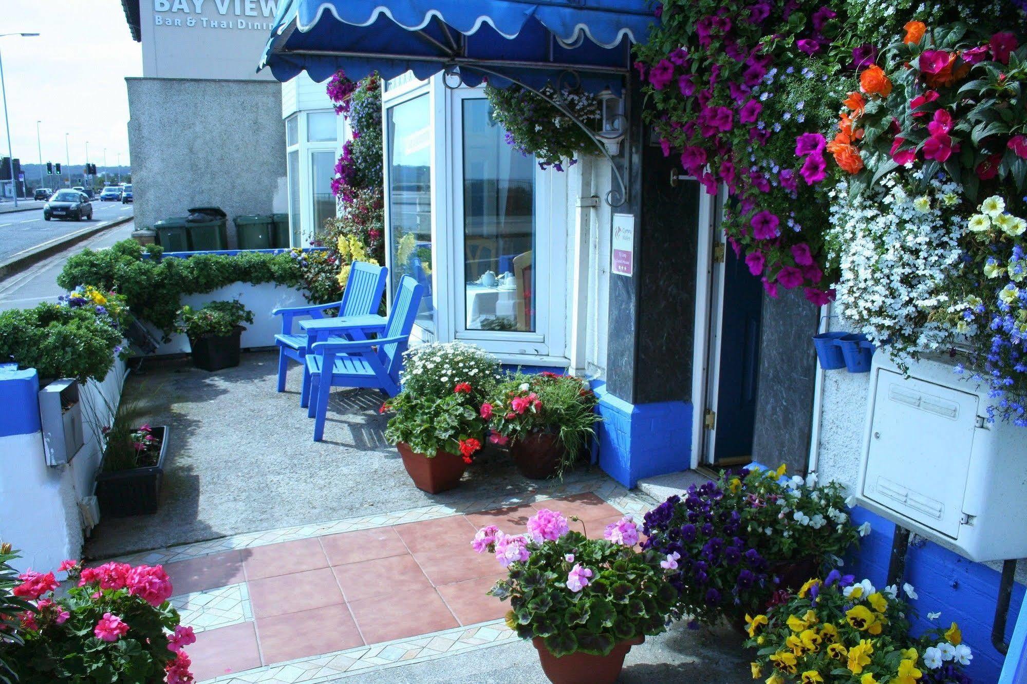 Devon View Guesthouse Swansea Extérieur photo