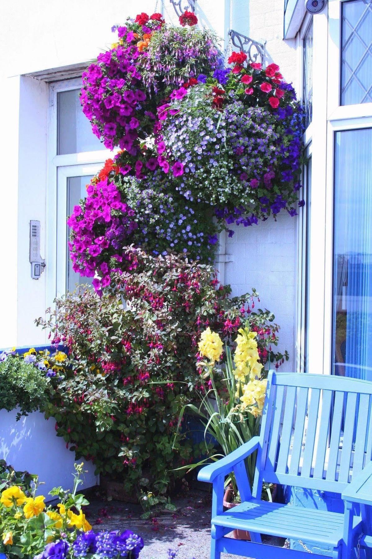 Devon View Guesthouse Swansea Extérieur photo